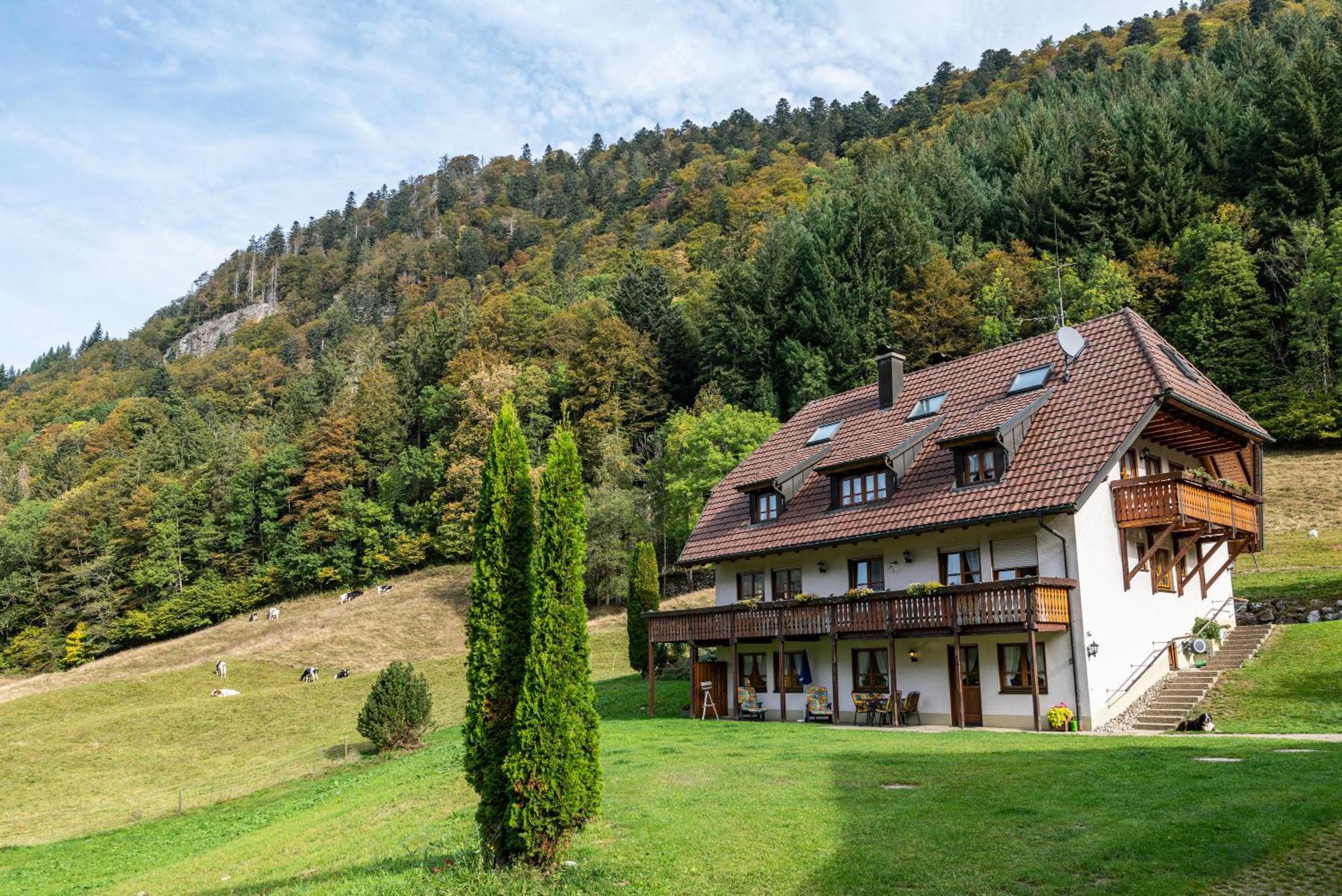 Gasthaus Zur Linde- Napf Оберид Екстериор снимка